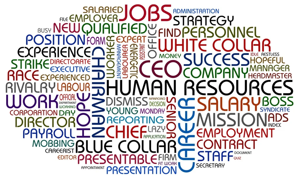 أفضل كورسات الموارد البشرية HR المعتمدة